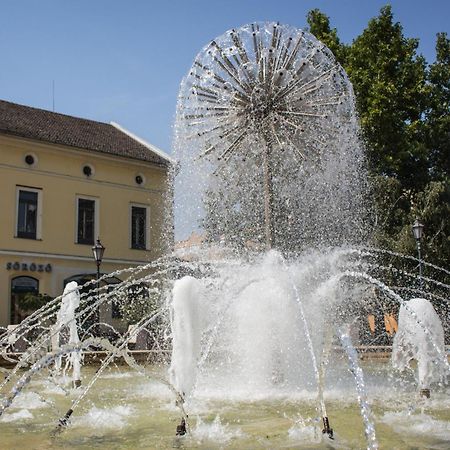 Apartmán Marusius Apartmanhaz Makó Exteriér fotografie